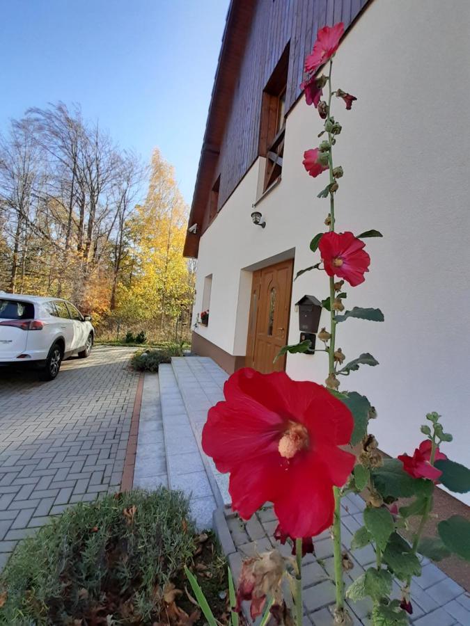 To Tutaj Apartment Szklarska Poreba Exterior photo